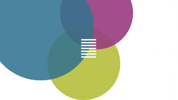 Summer Fellows 2015