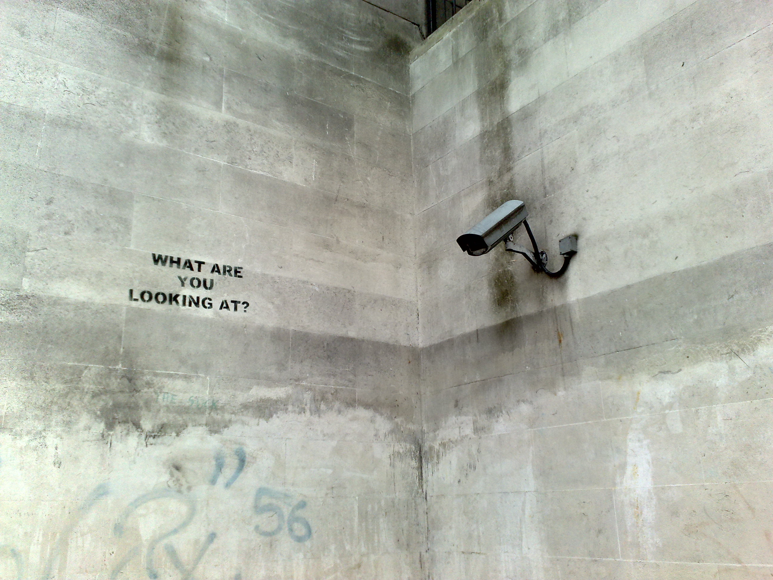 What are you looking at. Бэнкси what are you looking at. What are you looking for. Are you looking up. Look up.