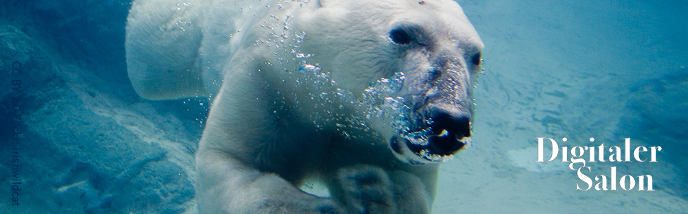 Am warmen Polar