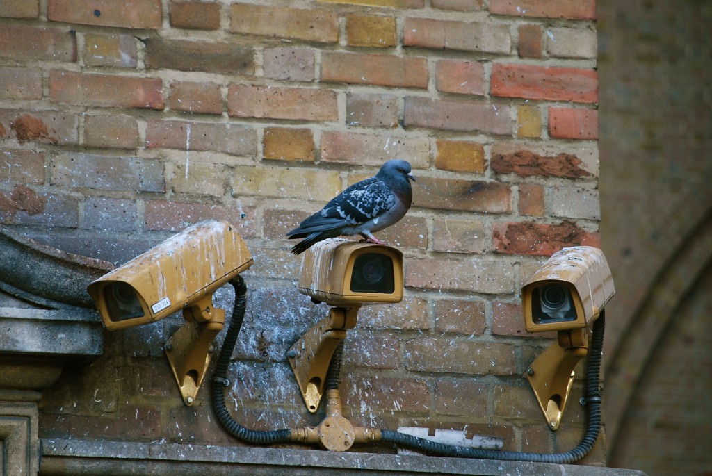 Camera Camera