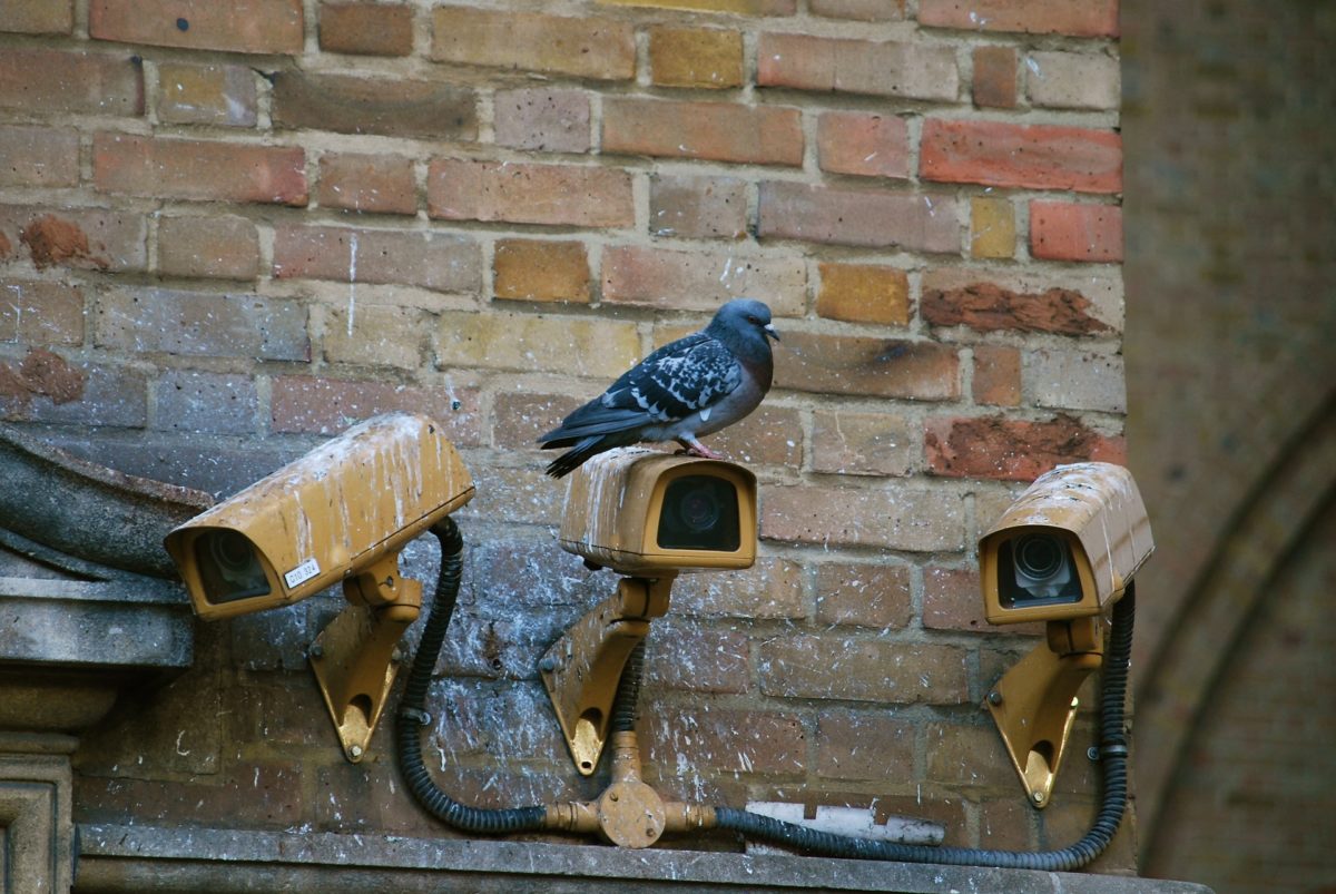 Camera