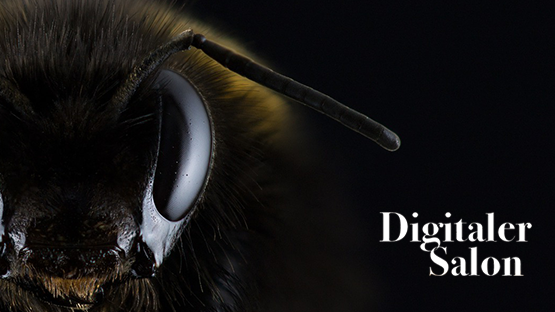 Banner Digitaler Salon "Game of Drones"