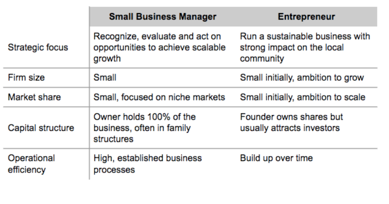 entrepreneur vs business owner