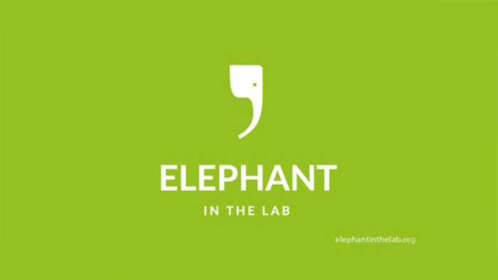 Blog journal Elephant in the Lab