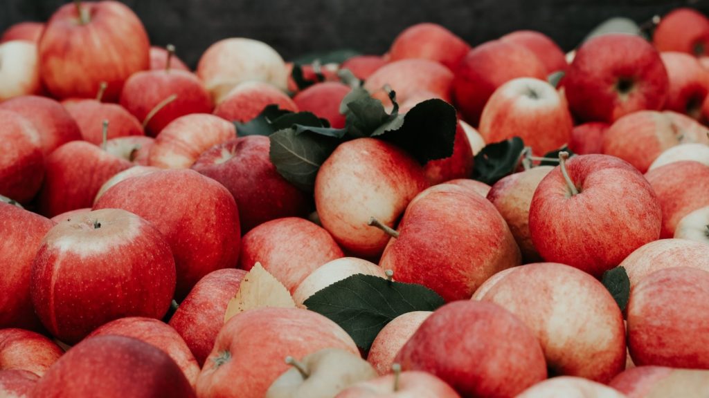 joanna-nix-384296-unsplash