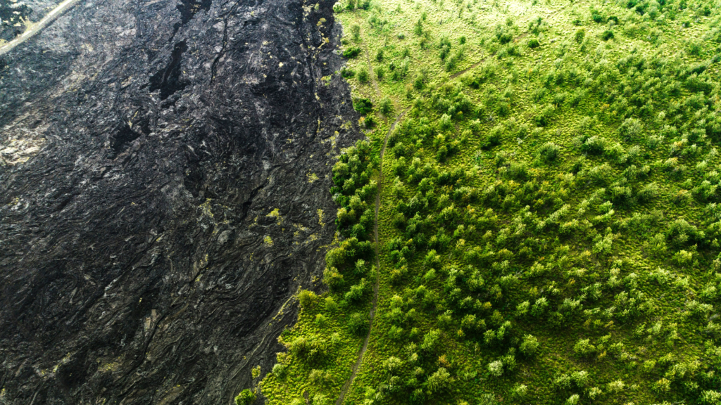 Innovation-Unternehmertum-Gesellschaft-Entrepreneurship-society Innovation-Unternehmertum-Gesellschaft-Entrepreneurship-society