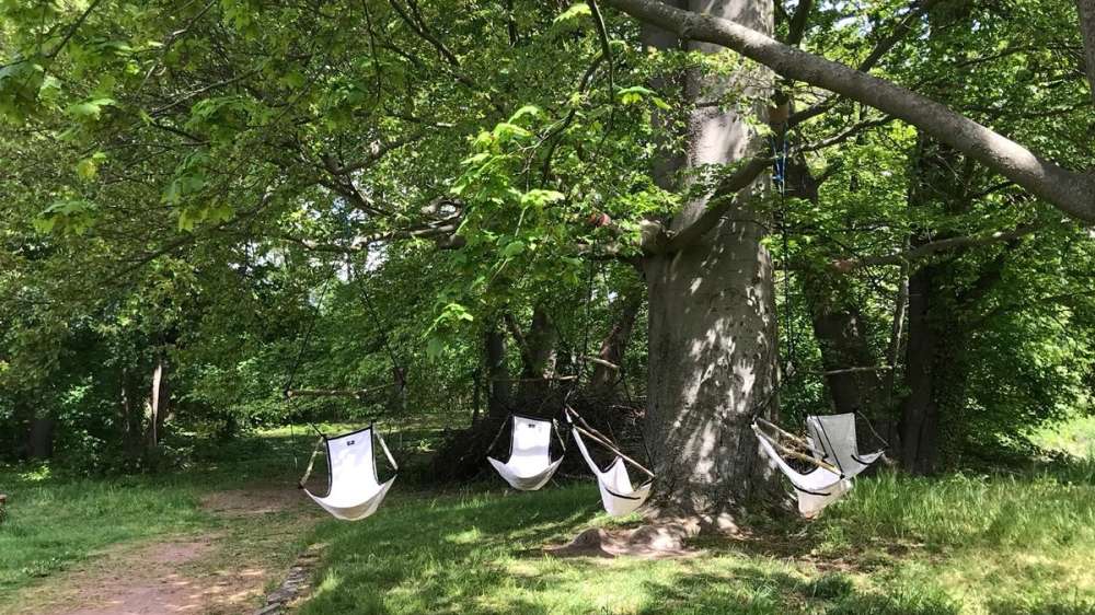 Twentyforty: Hammocks among the trees