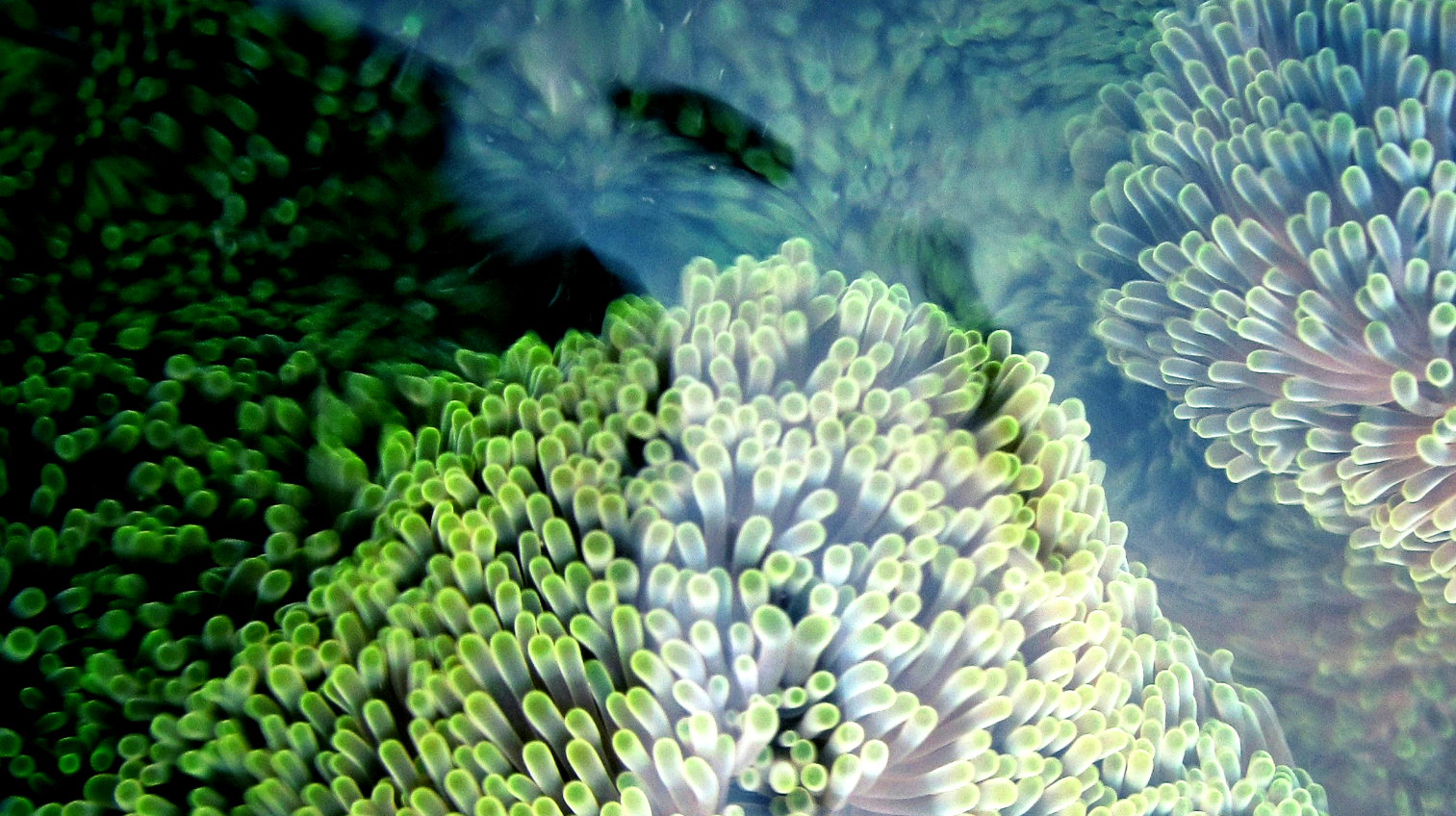 Gesellschaftliche Werte-Macht-Technologien -Societal Values-Power- Technologies