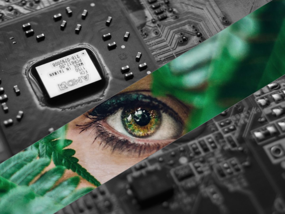 Der Fall der Natur: Digitaler Ökozid durch Technologieunternehmen – Digital  Society Blog