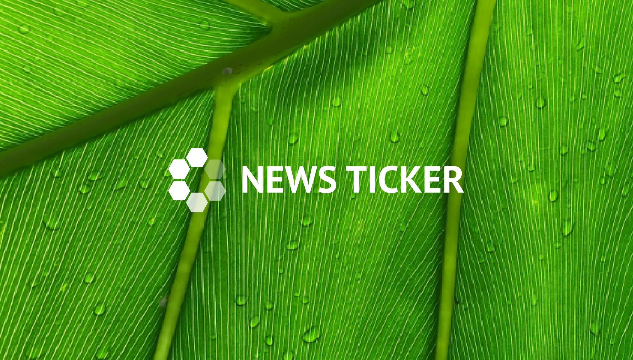 You can see a green leave and the text "SET News Ticker"