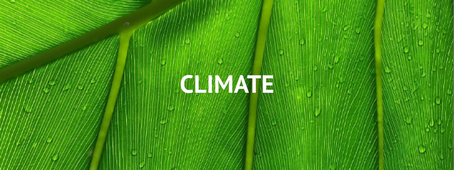 Climate