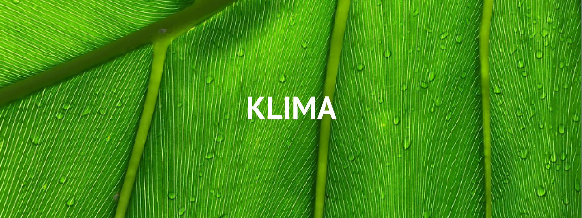 Man sieht ein grünes Blatt und davor das Wort "Klima"