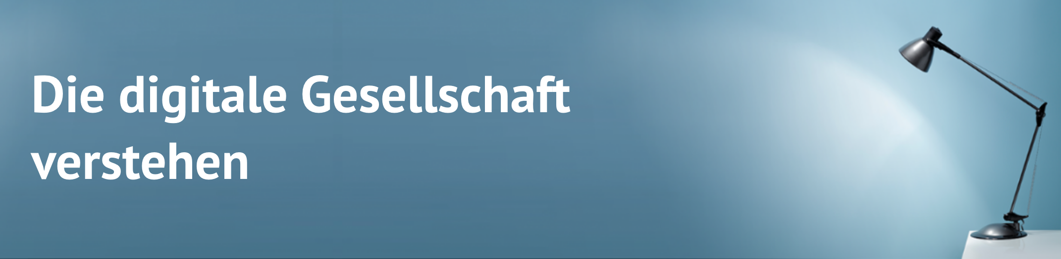Banner_Forschungsübersicht Banner_Forschungsübersicht