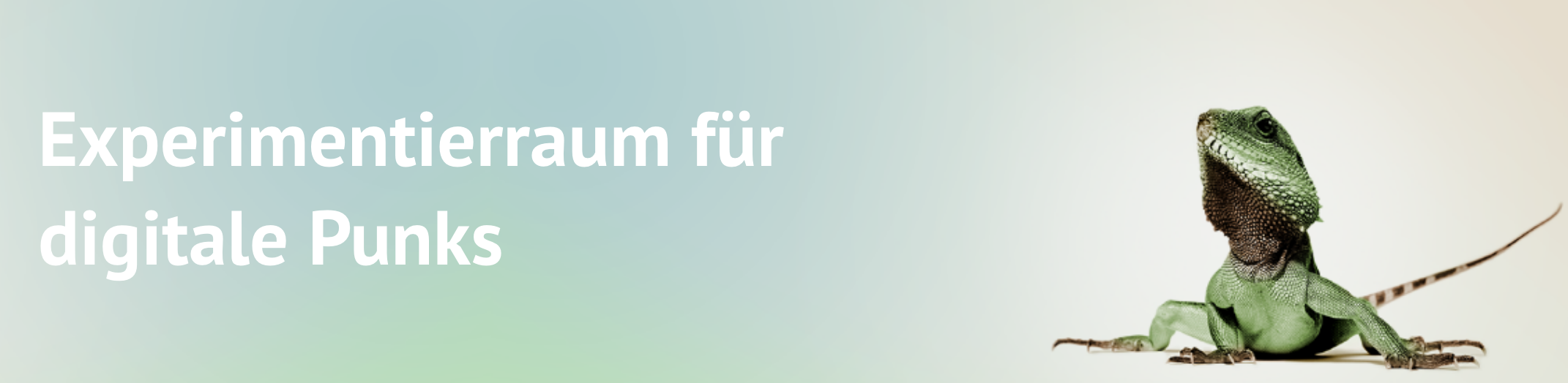 Banner_Medienübersicht Banner_Medienübersicht