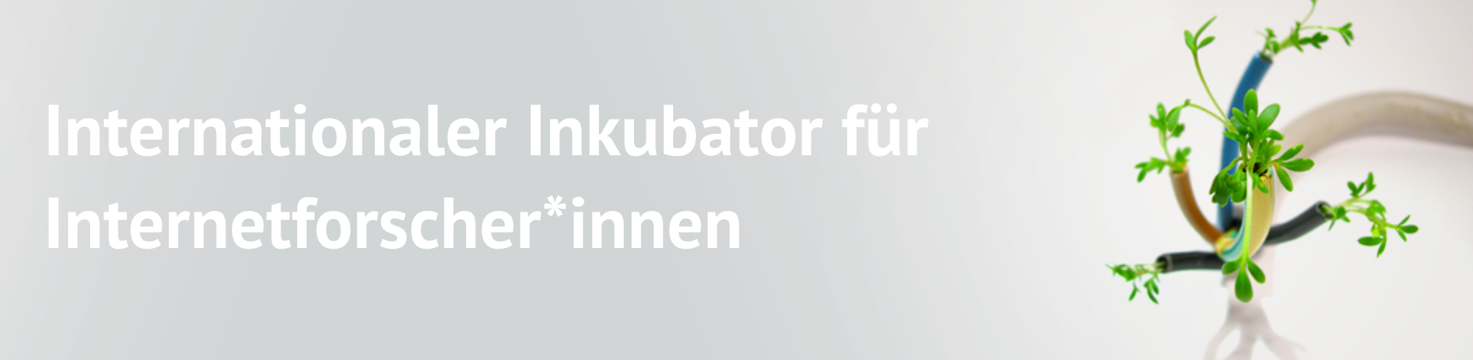 Banner_Mitarbeitende Banner_Mitarbeitende