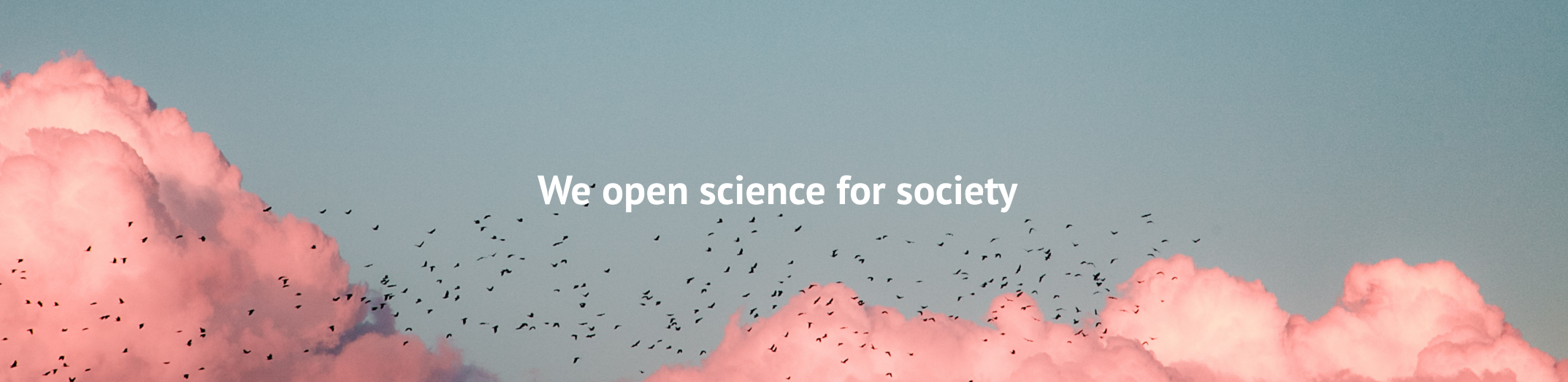 Open Science Titelbild Englisch