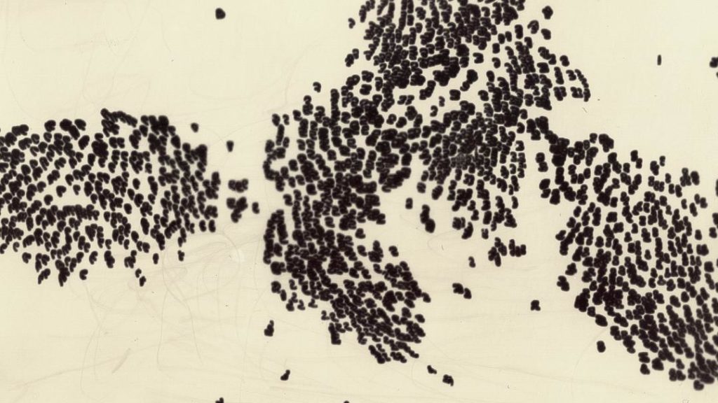multiple swarms of black dots on a beige background, representing how a lot of data is collected about employees. Current studies show: People analytics has risks, but also real potential for human resources.