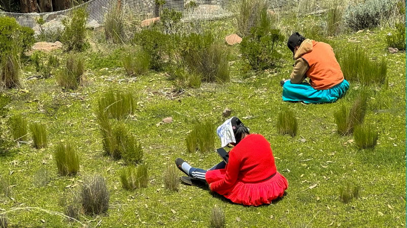 2 Quechuas, die auf einer grünen Wiese sitzen und im Sonnenlicht auf ihre Smartphones schauen, was folgendes symbolisiert: Was sind indigene Perspektiven der Digitalisierung? Die Quechuas in Peru zeigen Offenheit für die Anforderungen an das Wachstum ihrer digitalen Wirtschaft.