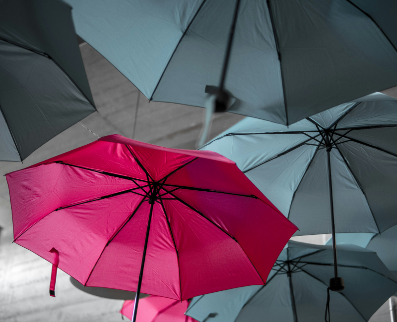 Quarterly-July-2024 – 7