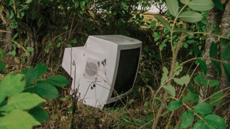 Das Foto zeigt einen alten Fernseher, der im Wald steht. Er ist ein Sinnbild für den digitalen Stoffwechselriss und die verborgenen Umweltkosten digitaler Technologien.