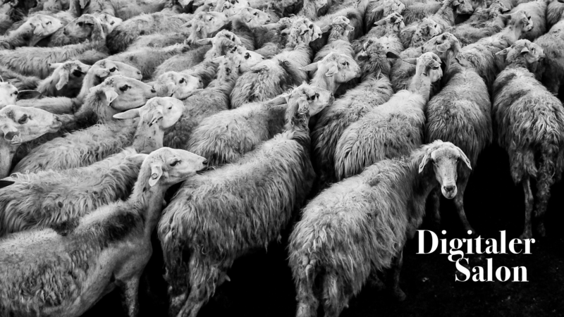 Website-DigSal-September