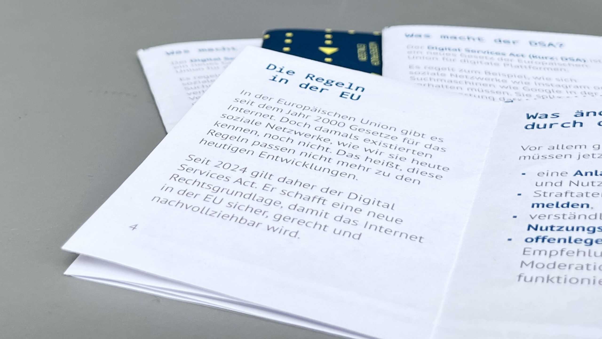Zine DSA Digital Services Act - Englisch Zine DSA Digital Services Act - Englisch