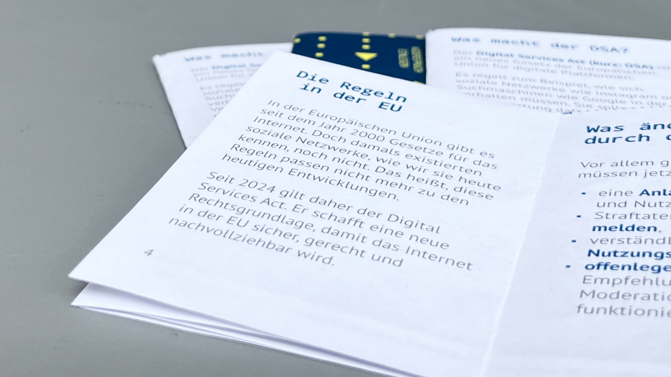 Zine DSA Digital Services Act - Englisch