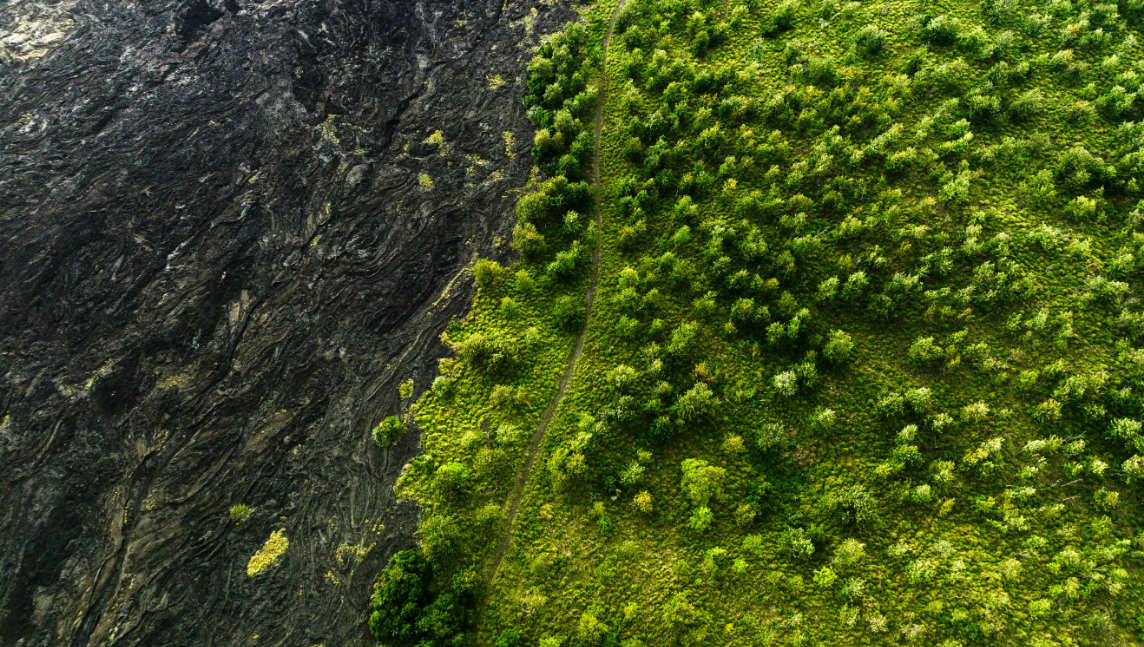 Drohnenaufnahme einer Landschaft mit einem scharfen Übergang zwischen dunklem Lavagestein und dichtem, grünem Bewuchs. Drone shot of a landscape with a sharp transition between dark lava rock and dense, green vegetation.