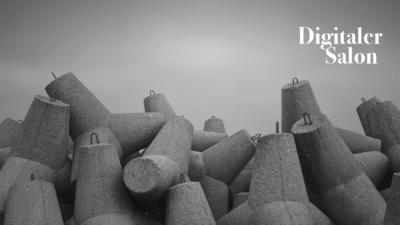 Digitaler Salon: Schutzwall im Shitstorm