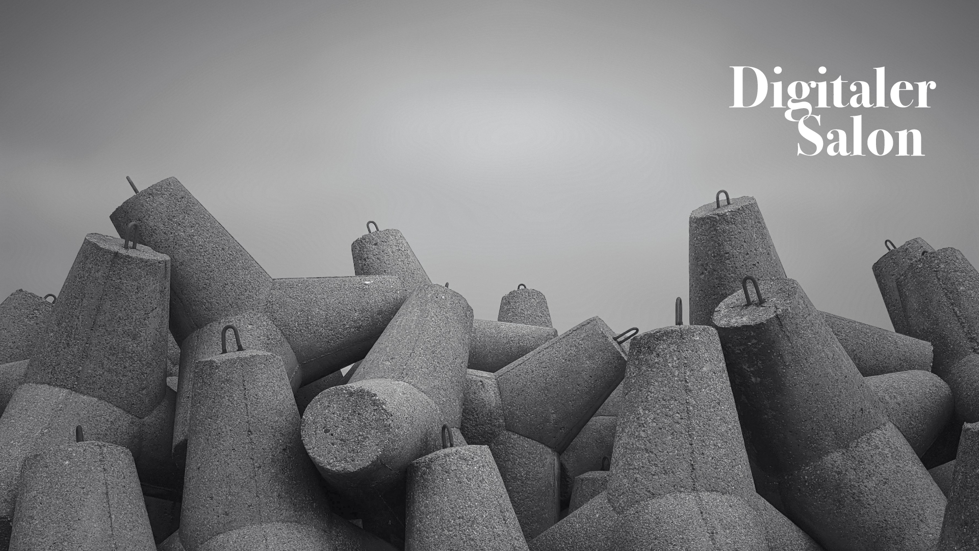 Digitaler Salon: Schutzwall im Shitstorm