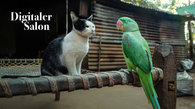 Website-DigSal-März – 4