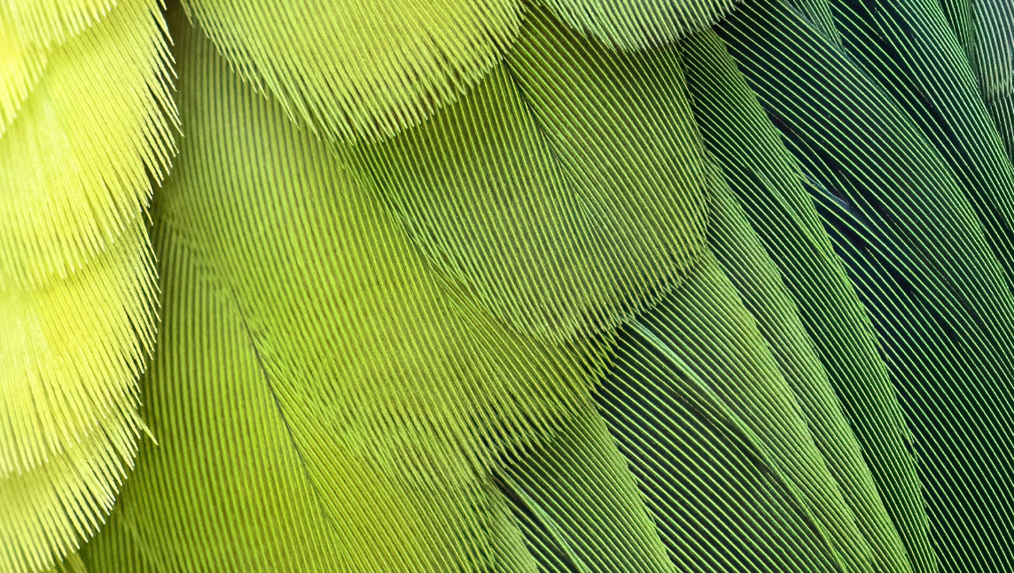 stellenausschreibung-forschungsleitung-demokratie – 2