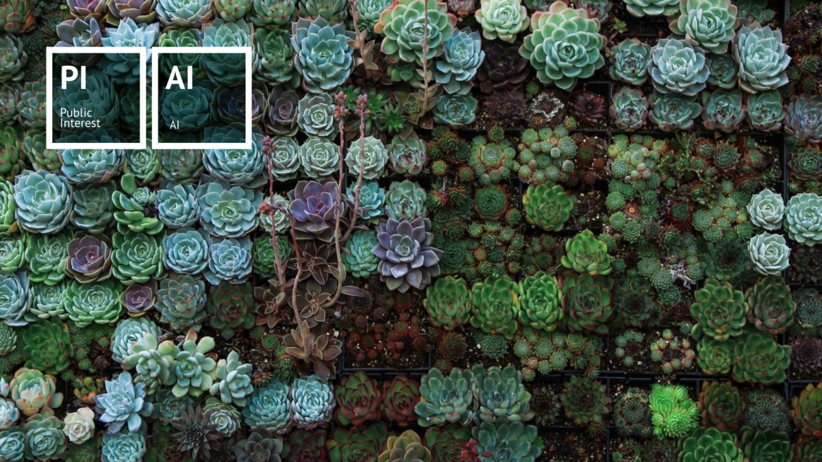 PIAI – NLP Claim Spotting – 3