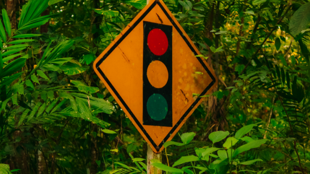 Ein Ampelschild im Wald, dass das Zusammenspiel zwischen Klimawandel und KI symbolisiert.