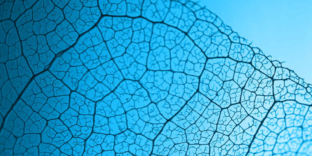 AI Capacity-Development