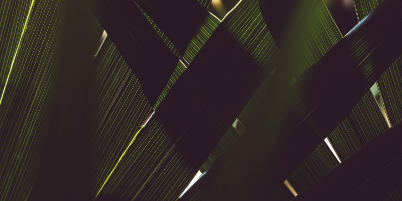Banner zur Ausschreibung Benin Banner zur Ausschreibung Benin