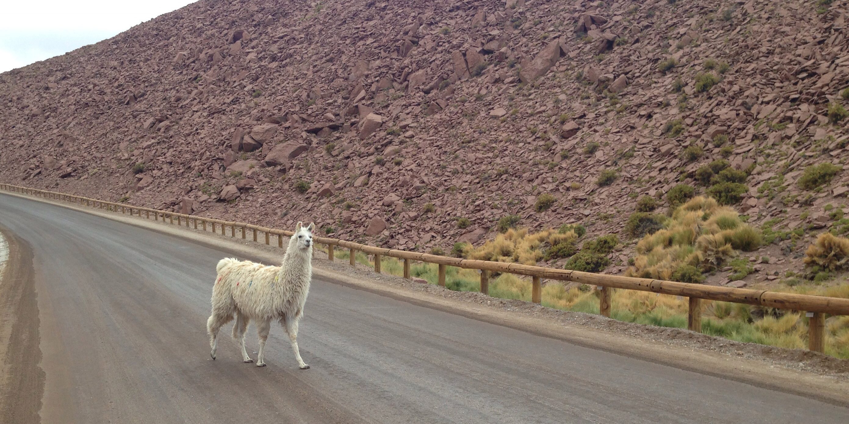 Chile Chile