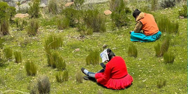 2 Quechuas, die auf einer grünen Wiese sitzen und im Sonnenlicht auf ihre Smartphones schauen, was folgendes symbolisiert: Was sind indigene Perspektiven der Digitalisierung? Die Quechuas in Peru zeigen Offenheit für die Anforderungen an das Wachstum ihrer digitalen Wirtschaft.