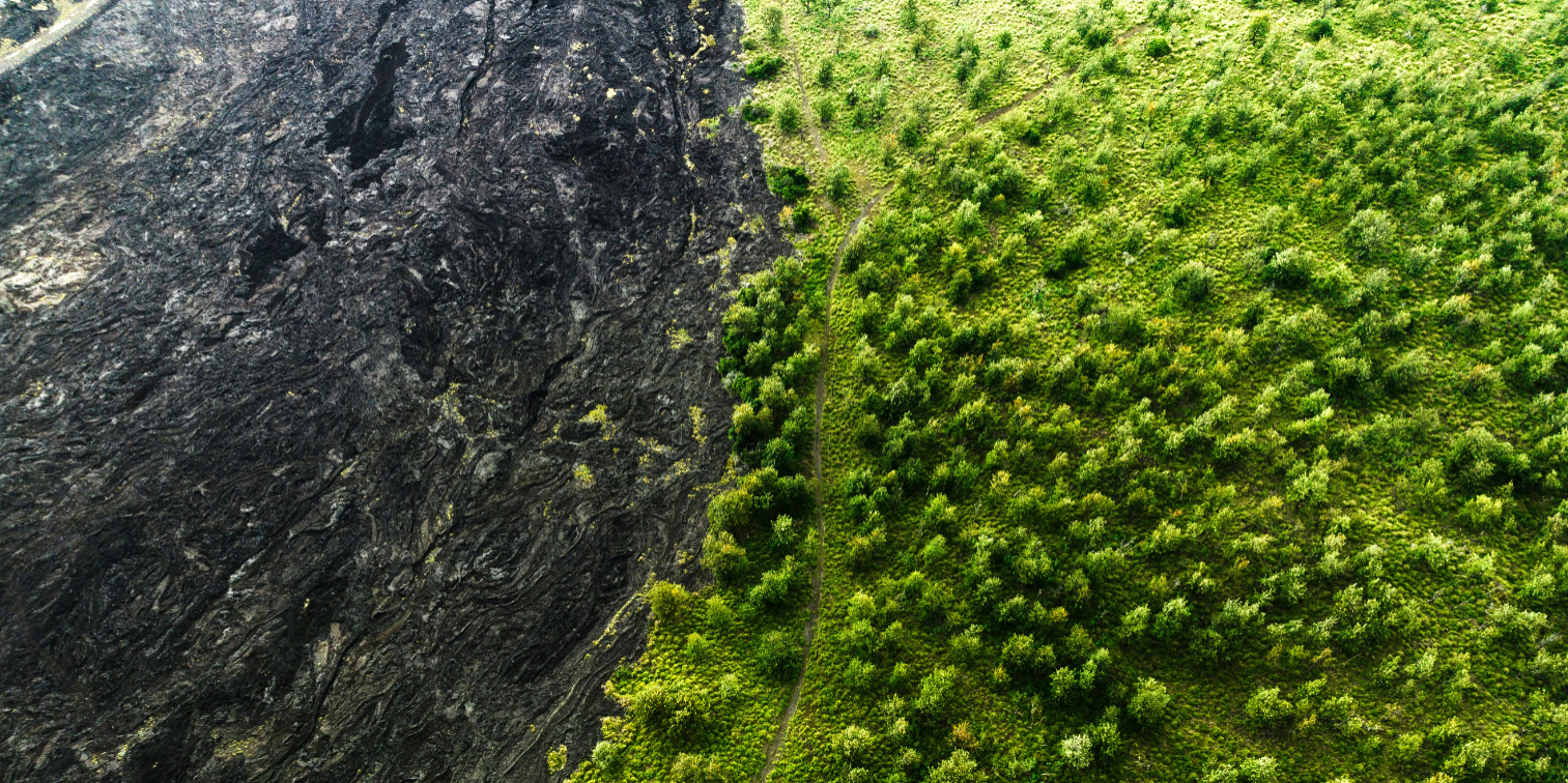 Innovation-Unternehmertum-Gesellschaft-Entrepreneurship-society