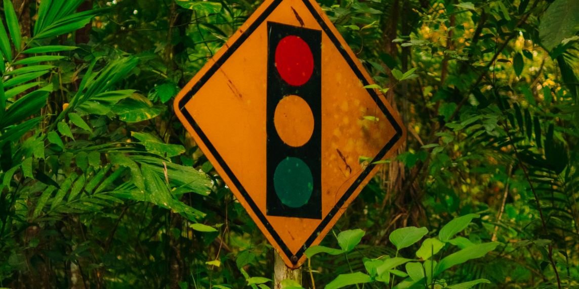 Ein Ampelschild im Wald, dass das Zusammenspiel zwischen Klimawandel und KI symbolisiert.