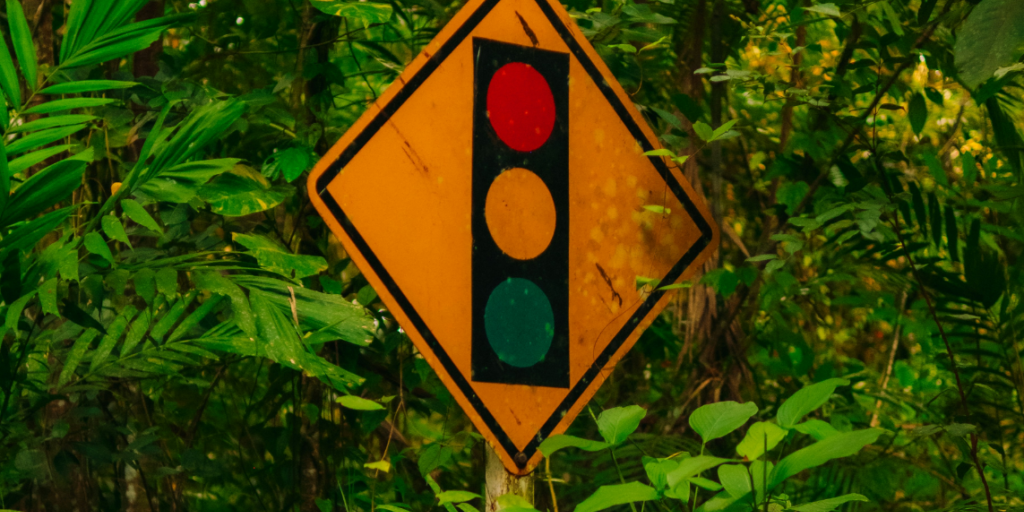 A traffic light sign in the forest symbolises the assessment of the interplay between climate change and AI.