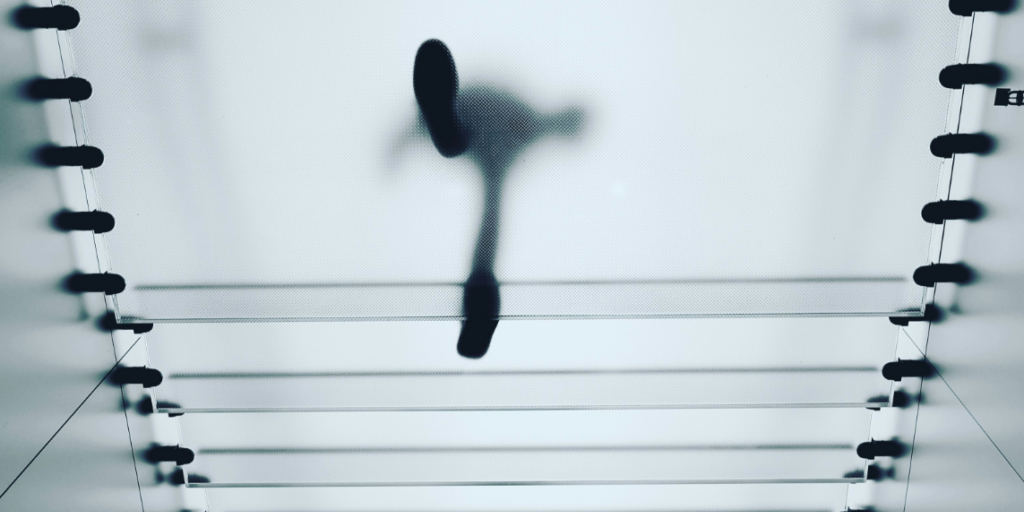 Semi-transparent glass floor with only footprints visible, symbolising partial insight like the DSA's transparency reports that show traces but not the full picture.