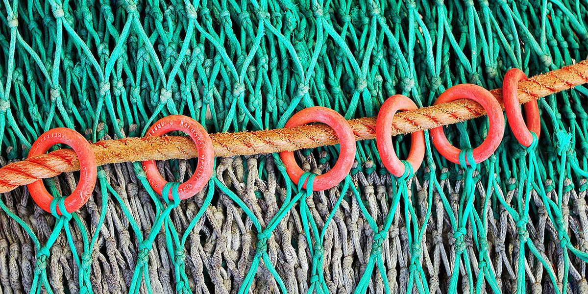 andrew-buchanan-RqJ6XbS3UI4-unsplash Kopie Fishnet: Symbolising internet connectivity