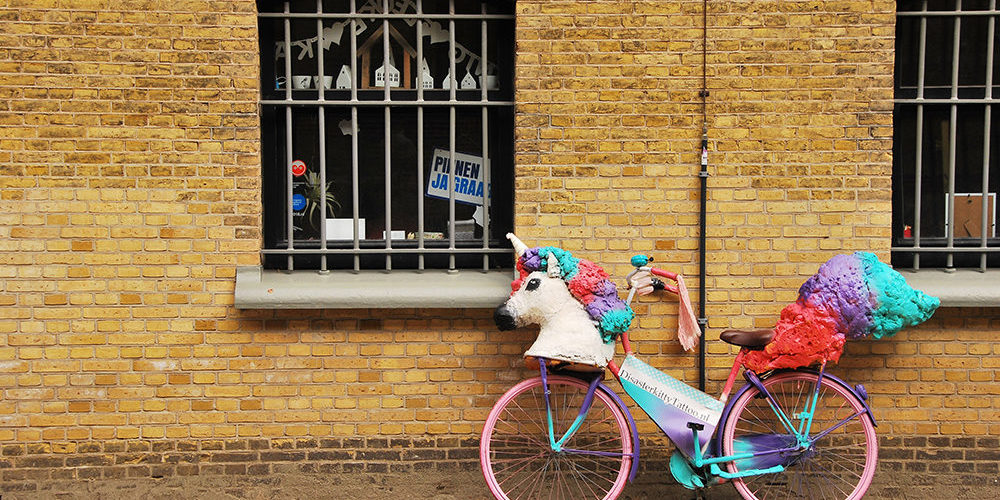 boudewijn-huysmans-774217-unsplash unicorn mask on a bicycle