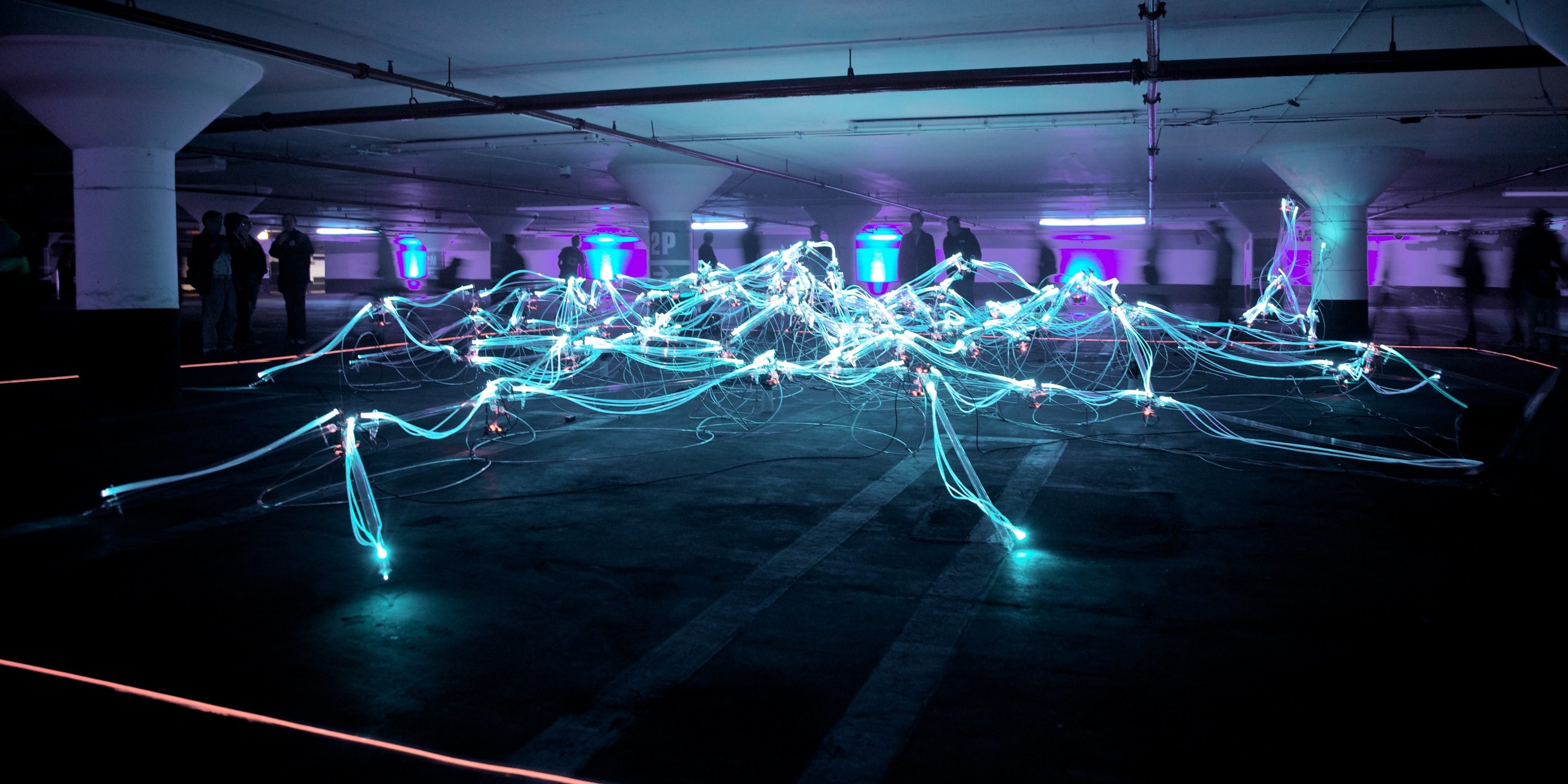 marius-masalar-CyFBmFEsytU-unsplash marius-masalar-CyFBmFEsytU-unsplash