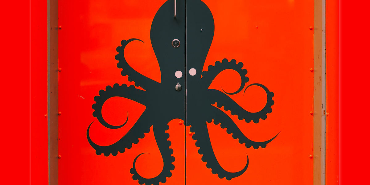 octopus