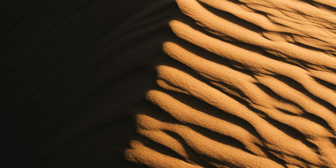 stellenausschreibung-forschungsleitung-demokratie Nahaufnahme einer Sanddüne mit wellenförmigen Mustern aus Licht und Schatten, die vom Wind geformt wurden.
