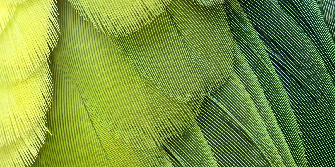 stellenausschreibung-forschungsleitung-demokratie – 2