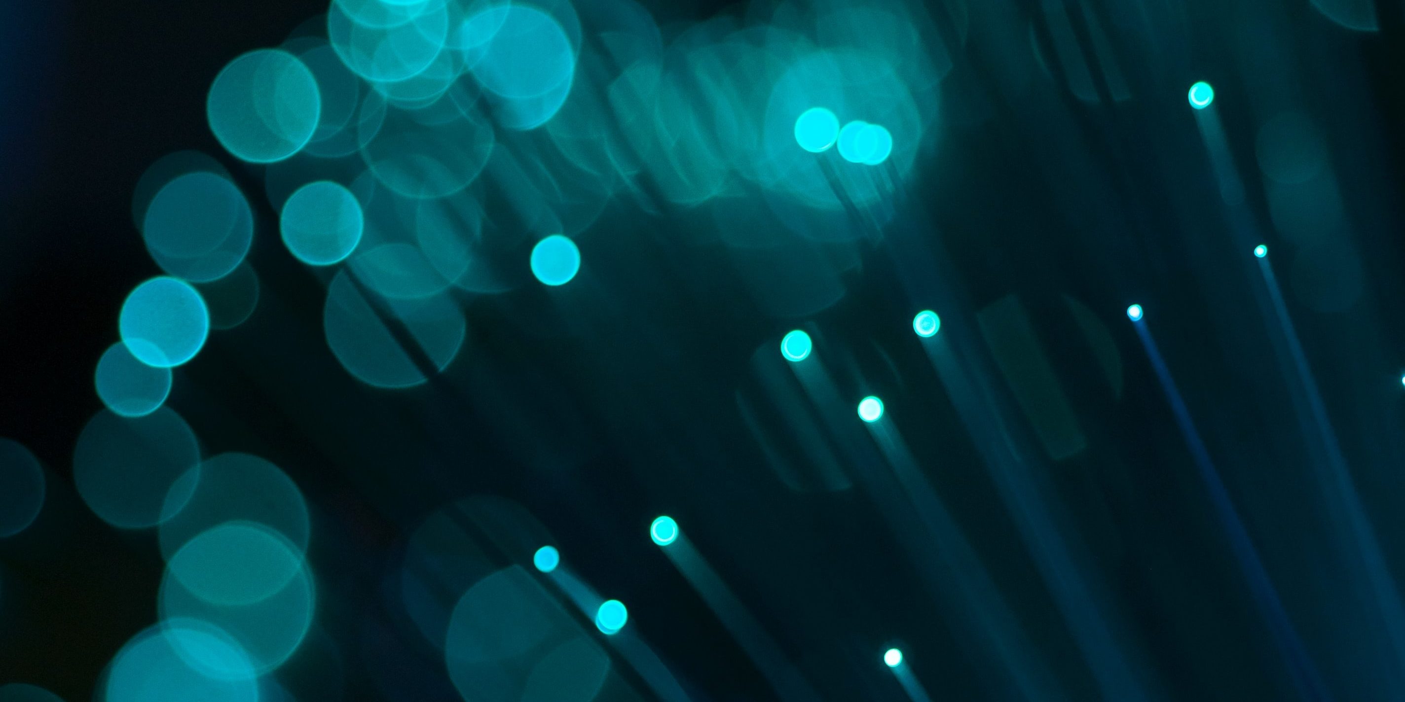 umberto-FewHpO4VC9Y-unsplash Cropped Post-Doktorand*in (m/w/d) mit technischer Perspektive | HIIG